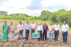 ICAR team conducts review of horticulture crop in VRS, Rajendranagar