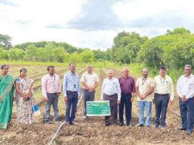 ICAR team conducts review of horticulture crop in VRS, Rajendranagar