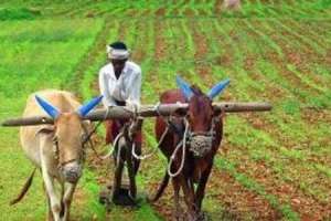 Loan waiver in Telangana state impeded by technical difficulties