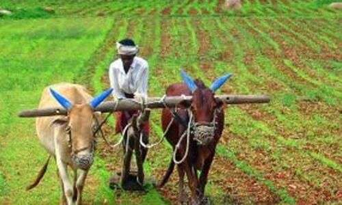 Loan waiver in Telangana state impeded by technical difficulties
