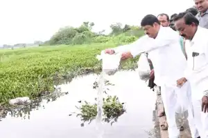Nannapuneni Narender: Warangal experiences comprehensive growth across the state