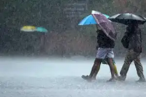 Next three days to bring rain across Telangana state