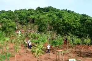 Sikharchandi Hill to be Transformed into Prominent Tourist Destination by Bhubaneswar Development Authority