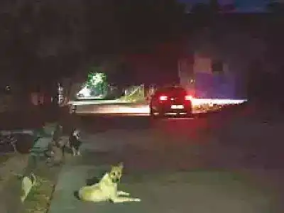 Streetlights malfunction in Hyderabad causing chaos for city commuters