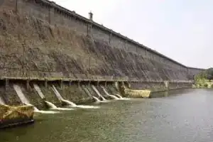 Tamil Nadu seeks assistance from central government to resolve Cauvery water dispute with Karnataka.