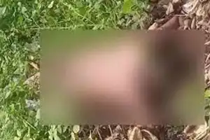 Two individuals arrested for the killing of a young person