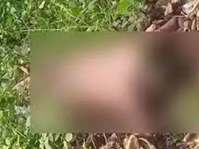 Two individuals arrested for the killing of a young person