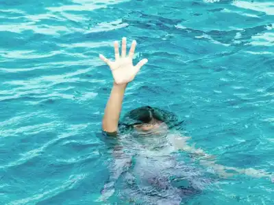 Delivery Agent Mustafa Found Dead in Florida Swimming Pool