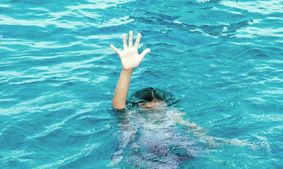 Delivery Agent Mustafa Found Dead in Florida Swimming Pool