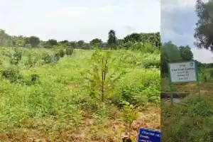 FCRI constructs protected sanctuary for preserving endangered wild fruit species in Hyderabad