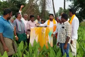 Formation of NTB celebrated in Sathupalli