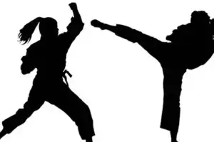 Girl students in Telangana to receive self-defence training