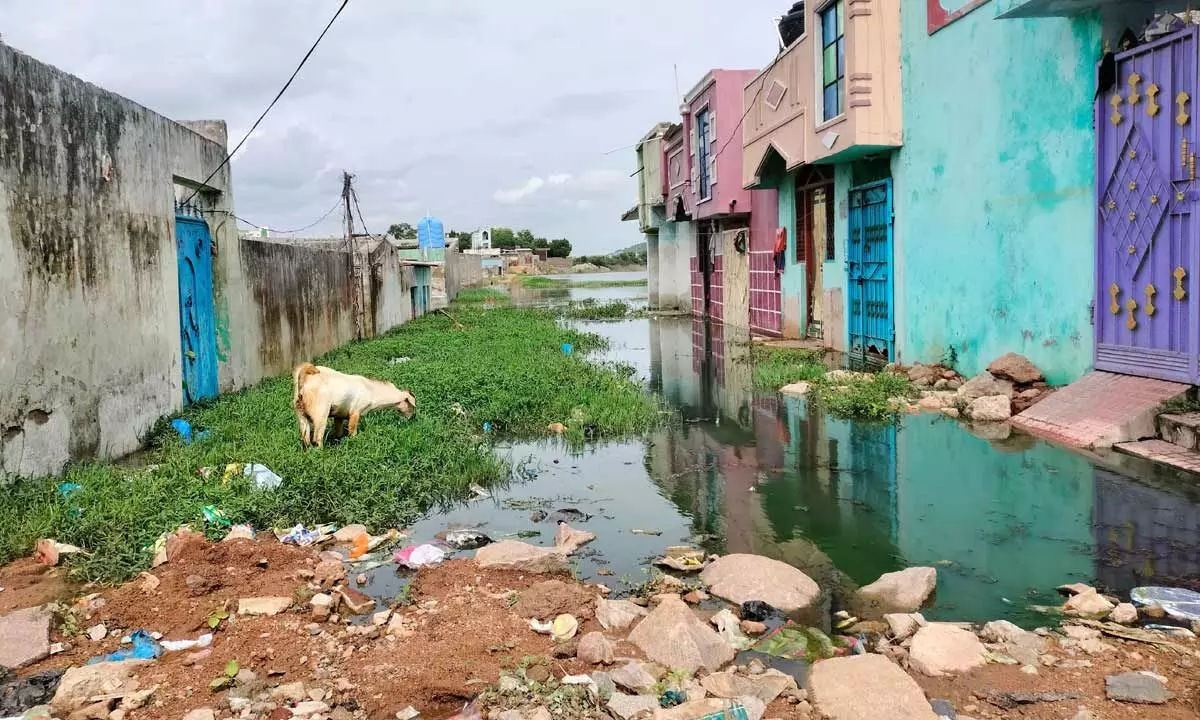 Officials see deficit rainfall in Balapur as a hidden blessing
