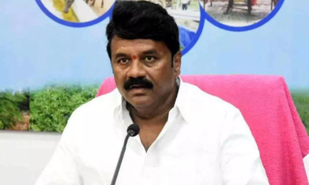 Talasani expresses strong disapproval of Chandrababu’s arrest