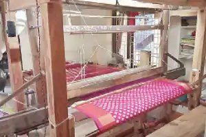 The handloom industry in TS is on the brink of collapse
