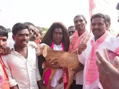 Anjaiah Yadav, BRS candidate from Shadnagar, vows to prioritize development