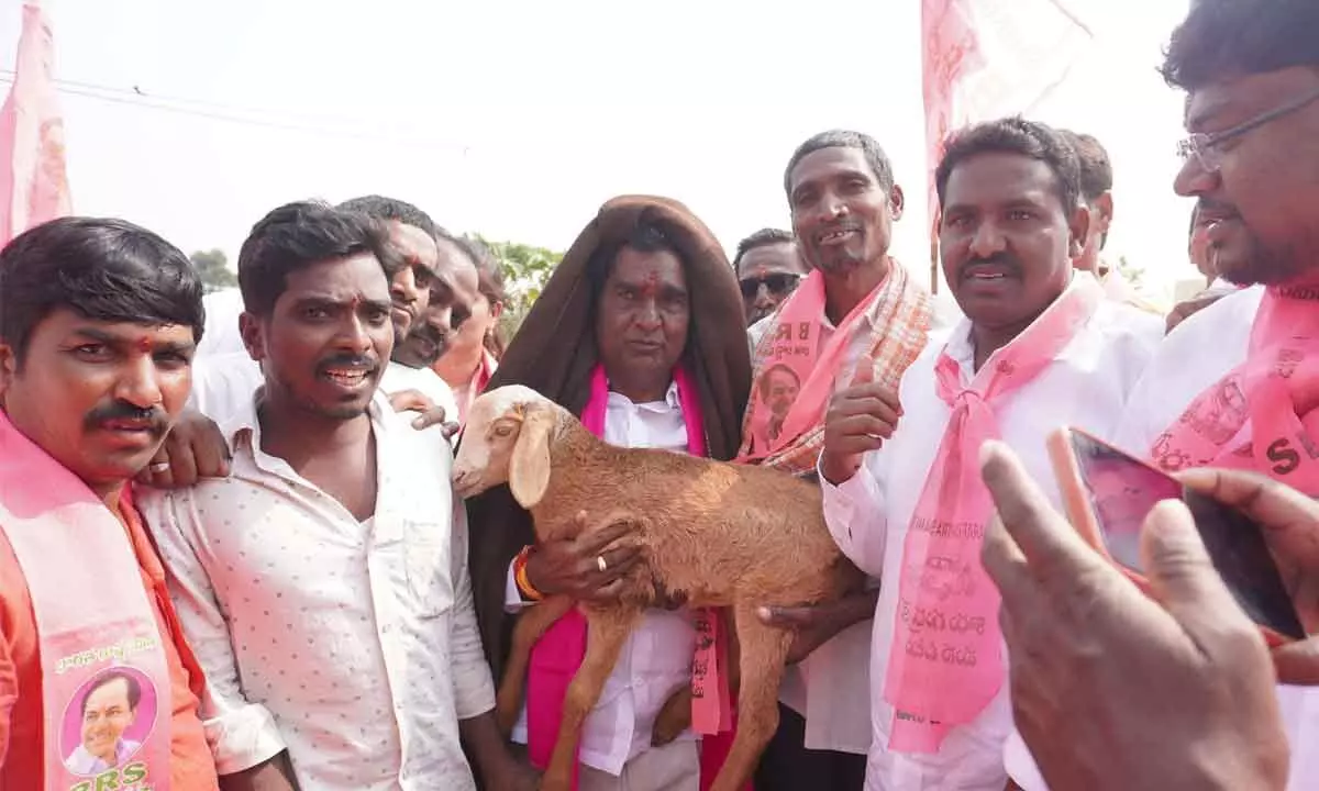 Anjaiah Yadav, BRS candidate from Shadnagar, vows to prioritize development