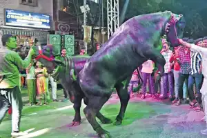 Hyderabad: Sadar Festival celebrated with great enthusiasm in the city