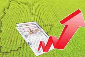 Surge in Land Demand Across South Telangana Districts Amid Revanth Reddy’s Candidacy