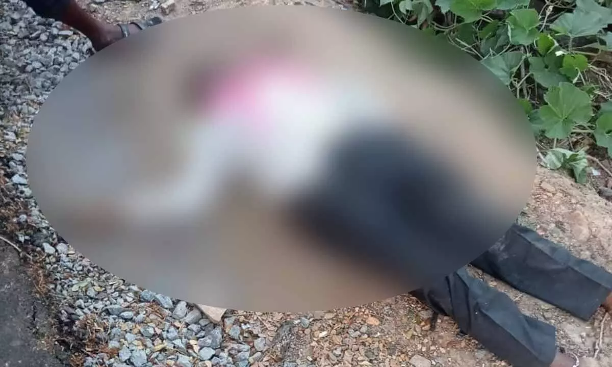 Large scale rally witnessed as Mulugu BRS candidate Bade Nagajyoti files nomination