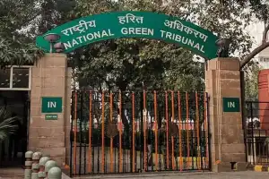 NGT directs NHAI to perform EIA for reducing damage to Chevella Banyans
