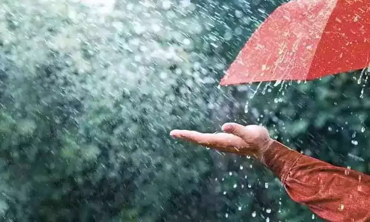 Rain expected to disrupt elections on election day