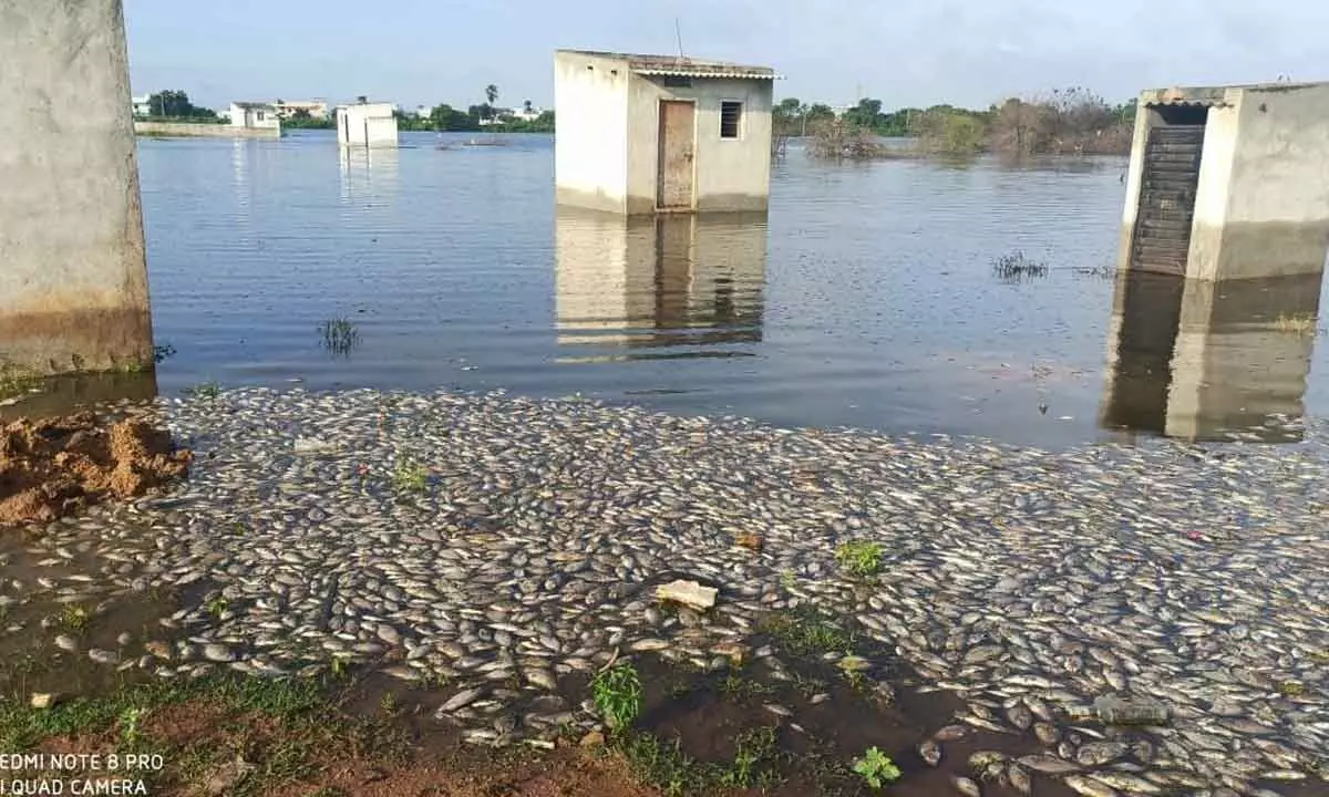 Chengicherla lake struggling for survival
