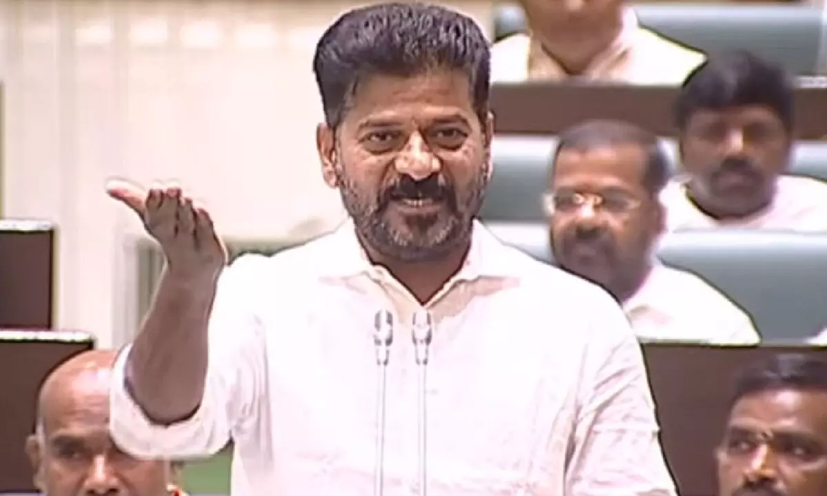 CM takes aim at BRS decisions