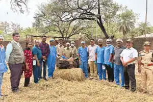 Eye surgery performed on horned rhino at Nehru Zoo in Hyderabad