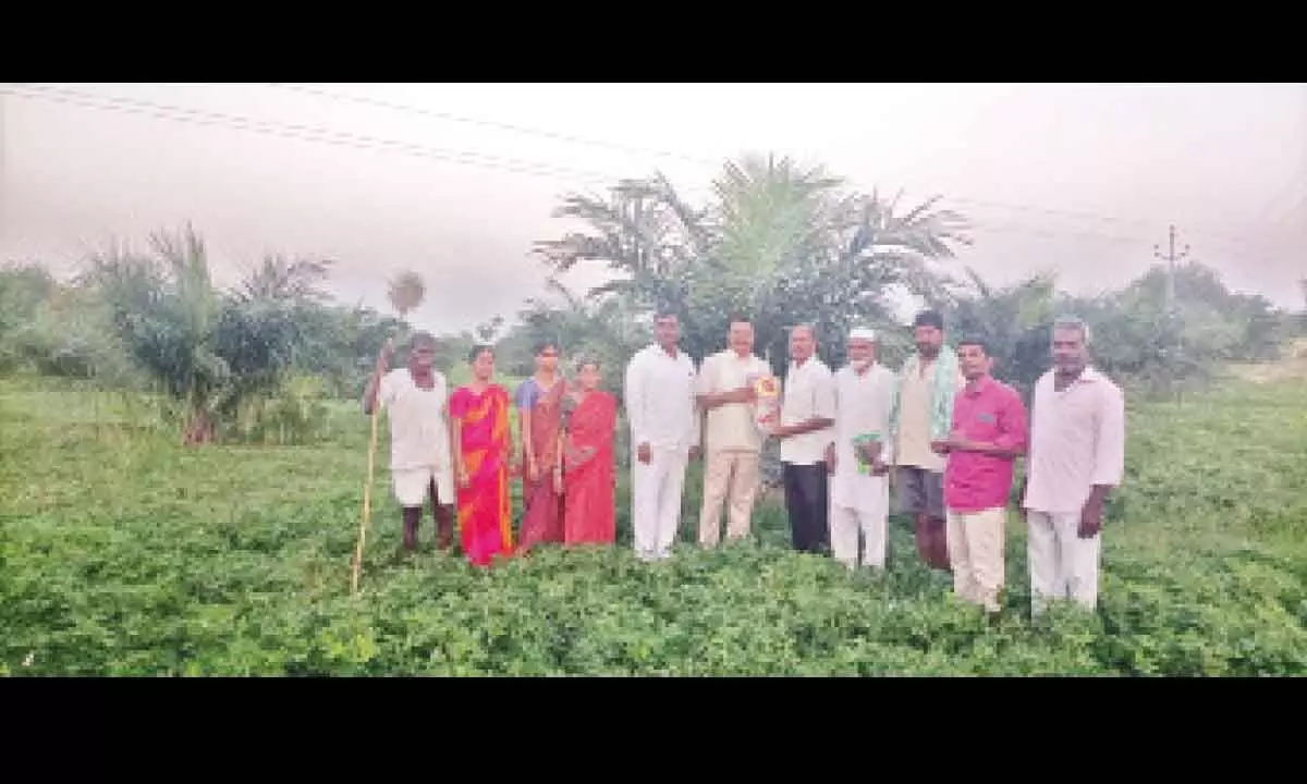 Former Agriculture Minister supports oil palm farming