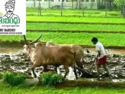 Government releases Rythu Bandhu scheme