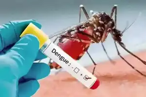 Khammam experiences a surge in dengue cases