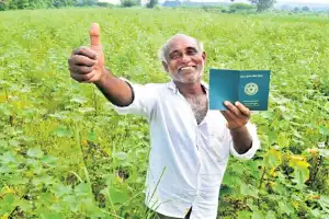 Rythu Bandhu funds released by Telangana Government