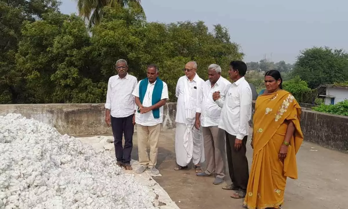 Rythu Sangam accuses Centre of deceiving cotton farmers