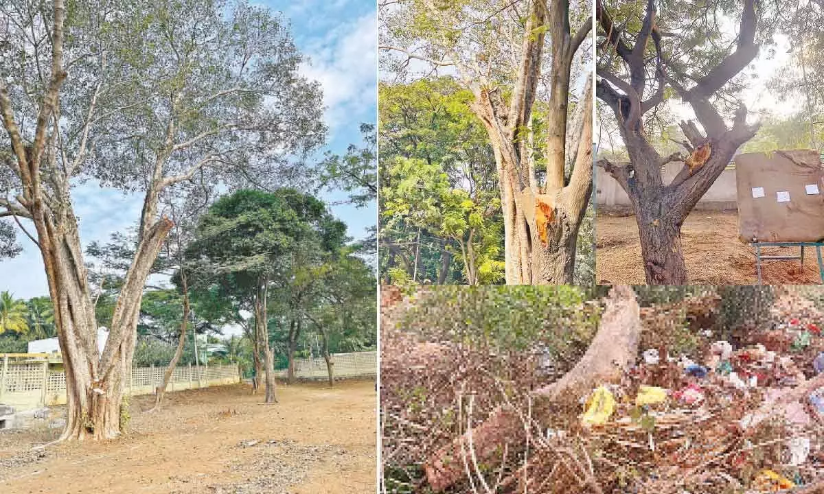 Sainikpuri experiences shrinking lung spaces