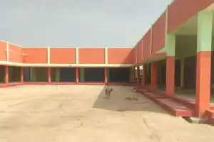 Stray dogs find refuge in integrated market worth 2 crore