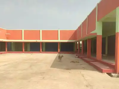 Stray dogs find refuge in integrated market worth 2 crore