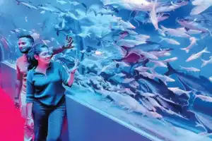 Attention Captured by Newly Installed ‘180-Degree Underwater Aqua Tunnel’ at Numaish