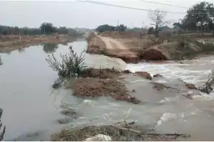 Crops in Yadagirigutta submerged by Godavari waters