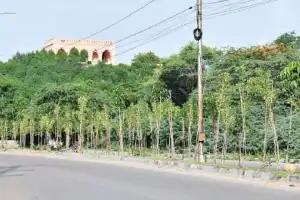 Hyderabad Launches Tree Census and Conservation Drive to Preserve Greenery in the City