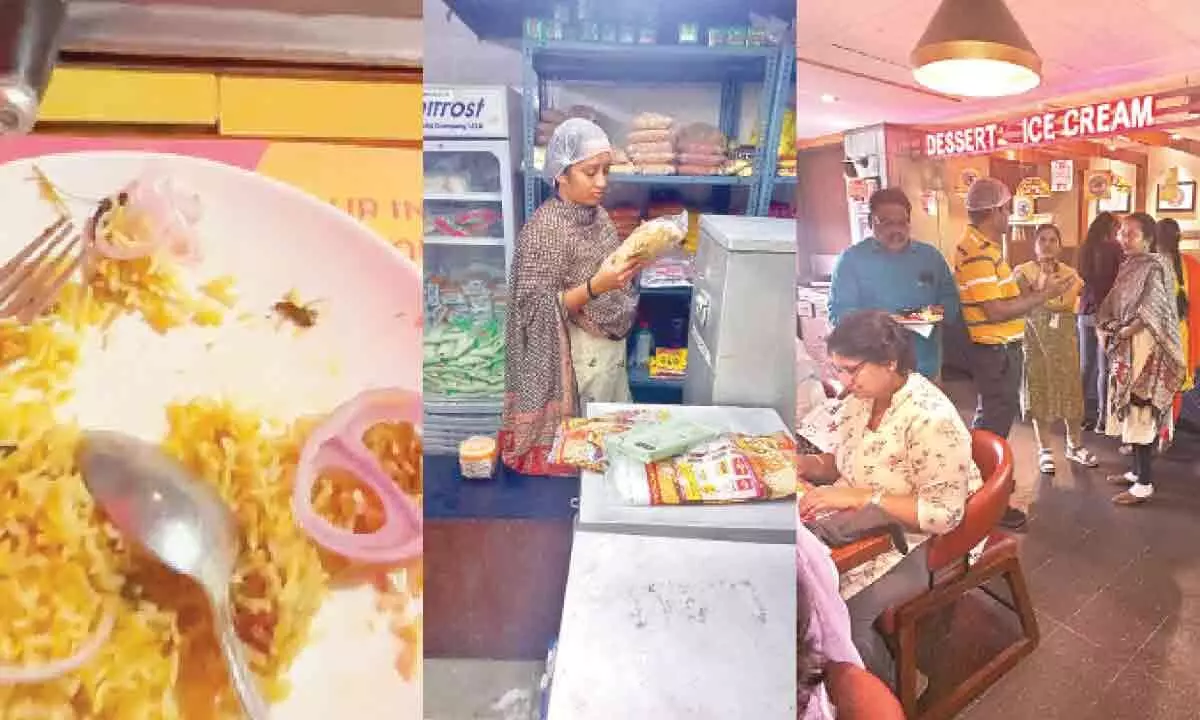 Introducing a Unique Hyderabadi Dish: Cockroach and Lizard Biryani