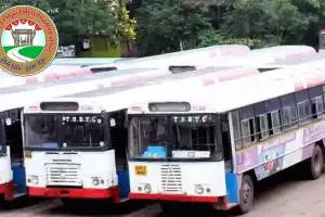 Men Feel Uneasy as Women Get Free Rides on Buses