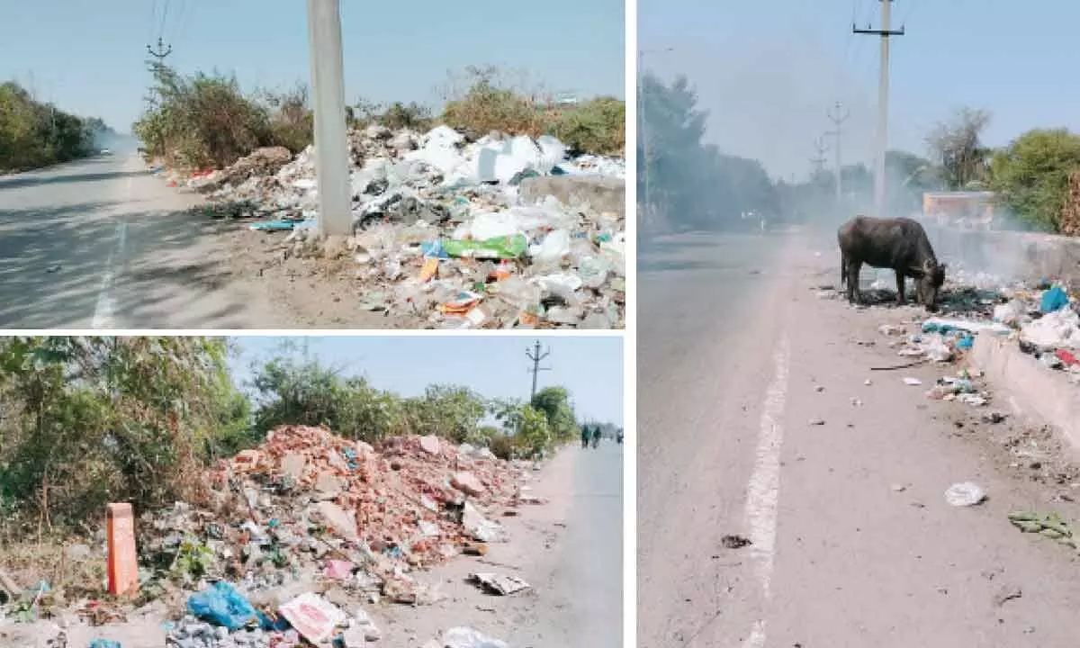 Officials show apathy towards Jalpally Lake