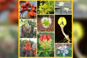 PJTSAU’s Agro Biodiversity Park Under Threat as Government Allocates Land for New High Court