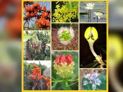 PJTSAU’s Agro Biodiversity Park Under Threat as Government Allocates Land for New High Court
