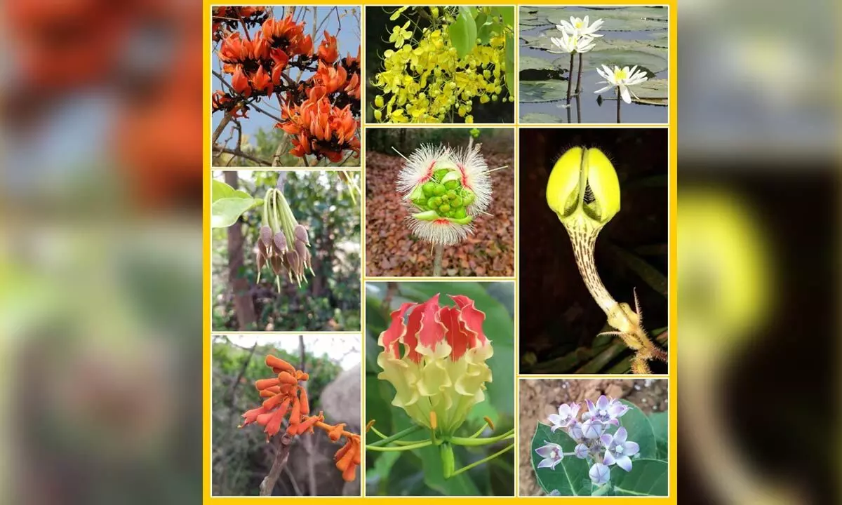 PJTSAU’s Agro Biodiversity Park Under Threat as Government Allocates Land for New High Court