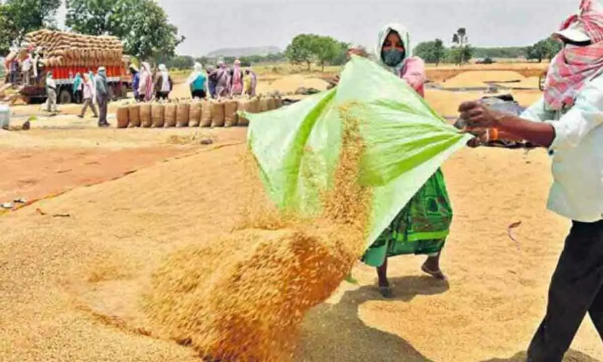 Telangana government plans to seek international bids for the sale of accumulated paddy reserves