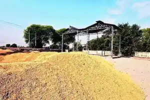 Action taken as rice millers face crackdown