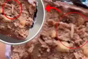 Cadbury chocolate stirs citizen frustration by containing a worm