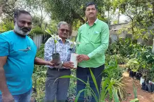 Employee of SCCL gives away saplings at no cost